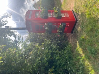 Furzehill BT Box