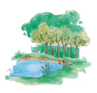 pond painting